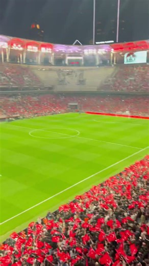 The atmosphere at Beşiktaş Stadium is truly electrifying