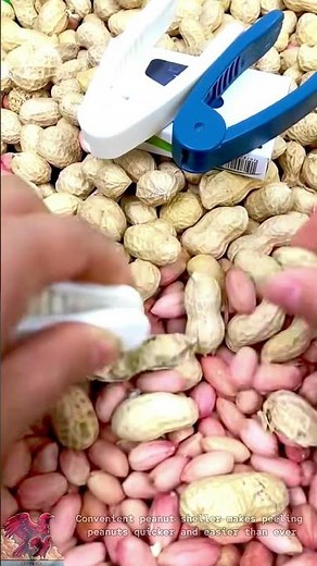 How to peel peanuts quickly #tools #shorts #viral #creative