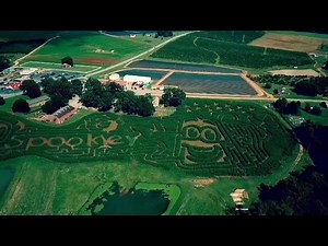 13K views · 213 reactions | It's time to get lost in the stalks at Strawberry Hill USA! This year's 10 acre corn maze features Spookley the Square Pumpkin. Our maze is open everyday through Oct. 28! Flashlight nights in the maze will be every Saturday night in October. #yeehaw #happyfallyall | Strawberry Hill USA Farm | Facebook
