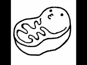 【はたらく細胞】全集中ミトコンドリアの呼吸。