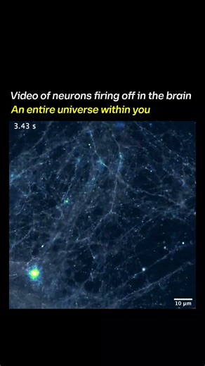 ✨ Universe And String Theory #astronomy