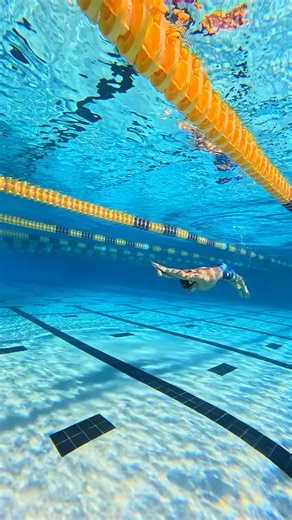 Flip Turn Drill 🔥👀 Build power and speed with this one of a kind drill ✨ 📸: filip_ss1 • • • • • #swimming #swim #swimmer #swimmingpool #triathlon #pool #swimbikerun #triathlete #swimteam #swimmers #swimlife #swimcoach #swimsuit #swimmerslife #swimpractice #swimmemes #swimtraining #swimmeet #swimmerproblems #backstroke #freestyle #swimclub #swimmingmemes #breaststroke #butterfly #competitiveswimming #swimminglife #swimfast #competitiveswimmer #swimdotcom | Swim.com