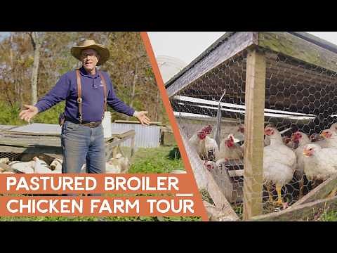 Joel Salatin's Regenerative Farm Tour - Pastured Broiler Chickens | Polyface Farms