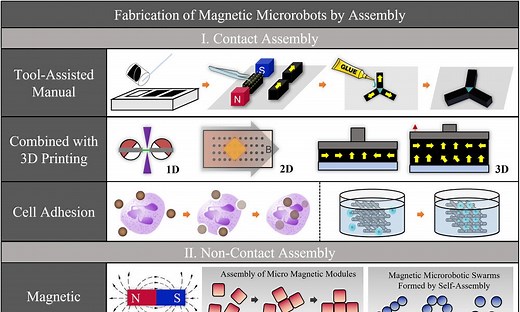 Fabrication Of Magnetic Microrobots By Assembly. Microrobot Swarms And Possible Mechanisms Of Shedding To The Unvaccinated