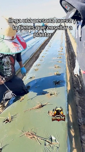 163K views · 2.7K reactions | Final inesperado  Actriz: Perea Ortiz | Rancho Humilde | Facebook