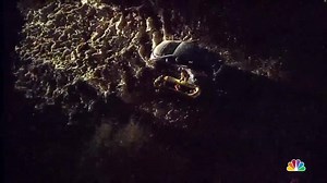 24K views · 304 reactions | A minivan driver ignored road closure...