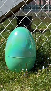 Spring into Clear Skin 🌷🐰💐🐣 Shop your favorite Proactiv products now at the link in our bio! https://bit.ly/4afaund | Proactiv