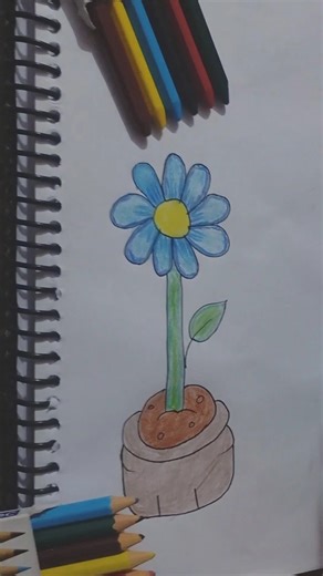 cute blue 💙 flower 🌸