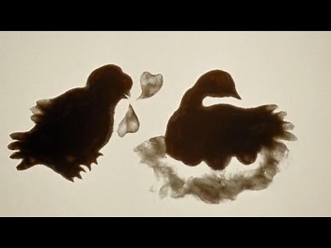 The Owl Who Married a Goose: An Eskimo Legend - Animation and Cartoon Videos