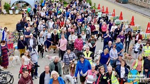 1.2K views · 53 reactions | The Great Global Greyhound Walk 2019...