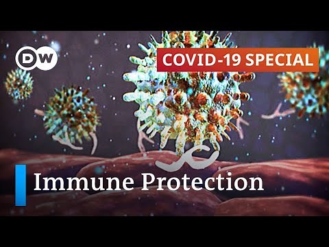 How important is the immune system in protecting against Covid-19? | COVID-19 Special