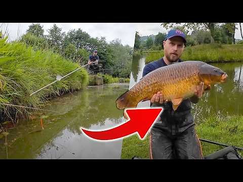 TUTORIAL, Margin Fishing with PASTE.