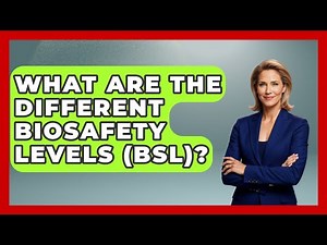 What Are The Different Biosafety Levels (BSL)? - High Stakes Jobs