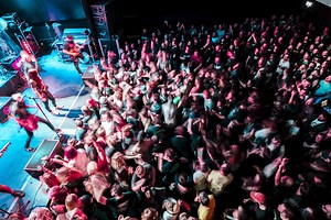 What's up? It's Tuesday...or is it Friday. Whatever......what is everyone up too? (Eindhoven) | Zebrahead