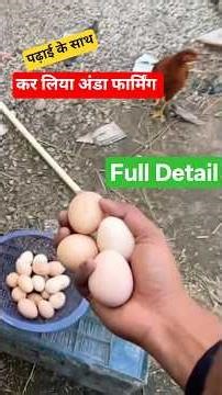 Egg Collecting | Free Range Farming