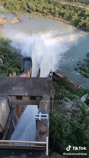 Exploring the Mysterious Jozini Dam Snake Phenomenon