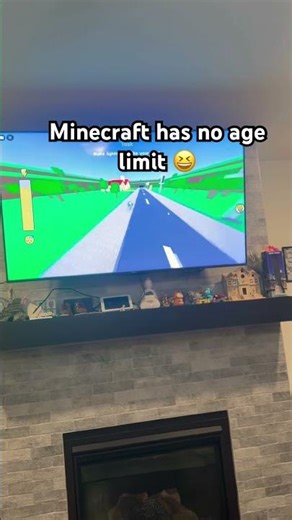 Brotherhood starts early 💙#brotherloveforever #siblingbond #minecraft #family #familyvlogs