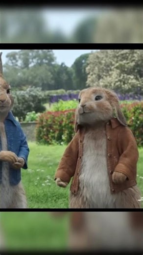 Hame ghar se jana hoga 😩🥺😭 #shorts # peter rabbit # cartoon