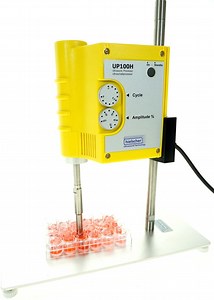Genetic Transformation in Plant Cells using Ultrasonics