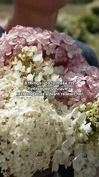 How to Make Hydrangea Bouquets Last Longer #hydrangea