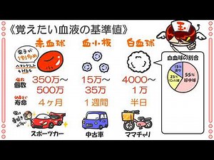 ptnas21 "Memorizing Blood Cell Reference Values"