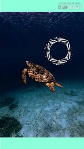 Robin Schulz - Sugar (Lyrics) feat. Francesco Yates #music