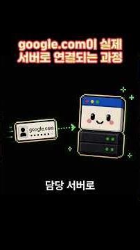 google.com이 실제 IP로 연결되는 과정 #DNS #인터넷원리 #IP주소