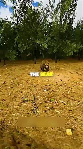 original sound - short video ပါဝင်သည့် short video (@short.videobs) ၏ ဗီဒီယိုများ