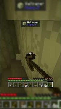 finding the place that will define my Minecraft Playthrough #backrooms #pcgaming #minecraft #funny