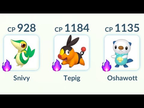 using Shadow (Snivy, Tepig, Oshawott) Team in Pokemon GO.
