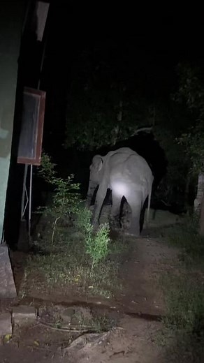 Deshaka Charith Guna on TikTok