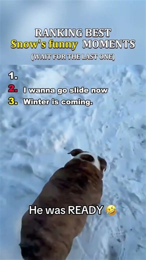 Ranking best Funniest snow moments