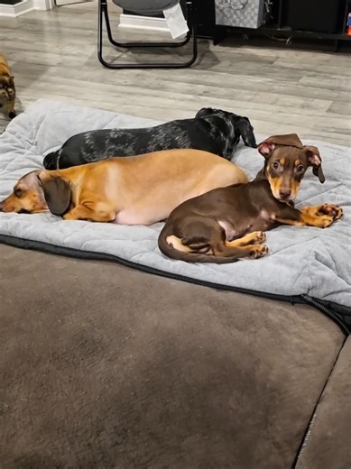 Simply Holly Smith (@hollysmith883)’s videos with original sound - Simply Holly Smith