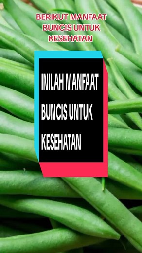 Manfaat Buncis untuk Kesehatan: Edukasi Kesehatan & Tips Hidup Sehat