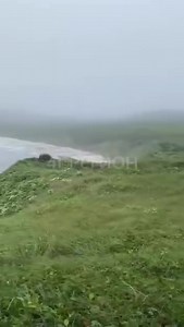 1.6M views · 29K reactions | Anda pasando cosas muy " intensas en Rusia " Esto es un tsunami en unas de sus costas.. Sin temblores, si nada que lo ocasionara esto ocurrió.. 勞 ..un hombre mientras caminaba por la cima de la costa junto a su mascota ( que estuvo apuntó de ser alcanzada por el mar) .. Observo como el mar  se enloqueció.. Causando un inesperado tsunami.. | Memorias de un Alien | Facebook