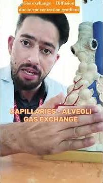 “How Does Oxygen Really Enter the Blood? ❌ It’s Not That Simple!”|#oxygen #ytshorts