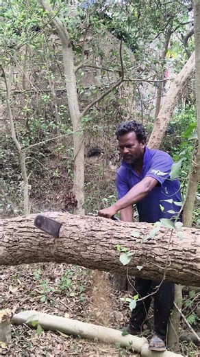 Powertex Xtreme PPT-GCS-18-C