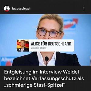 Danke Alice Weidel für Deine klaren Worte! Mut zur Wahrheit! | Martin Reichardt