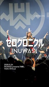 久しぶりに披露した【ゼロクロニクル】 #INUWASI #idol #アイドル #ライブ映像