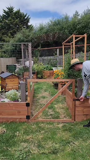 Adding Kitchen Scraps to the Aerobin Composter