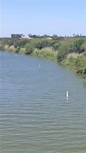 Río Bravo or the Rio Grande River in Progreso Lakes, TX.