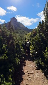4.2K views · 132 reactions | Labirintul jnepenilor  #romania #ceahlau #nature #adventure #fun #mountains | Hovrea Alin | Facebook