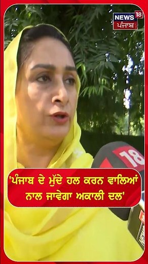 ਪੰਜਾਬ ਦੇ ਮੁੱਦੇ ਹਲ ਕਰਨ ਵਾਲਿਆਂ ਨਾਲ ਜਾਵੇਗਾ ਅਕਾਲੀ ਦਲ' #shorts |N18S