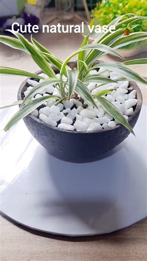 coconut shell flower vase 🪴 | simple craft idea