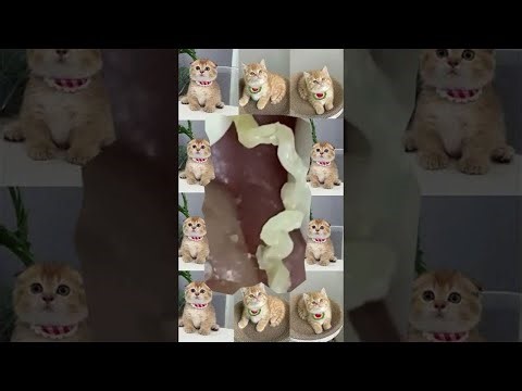 📹 Beautiful scenery in the refreshing early morning.