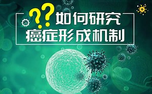 如何研究癌症形成机制