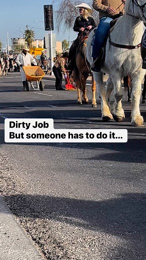 Poop Scoopers #horses #horseriding #PooperScooper | The Farm on Route 66