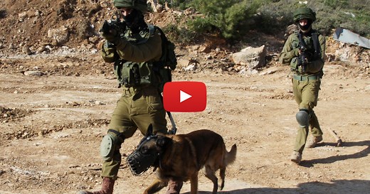 WATCH: Israel Dog Unit – Lifesaving Heroes on Four Paws | United with Israel