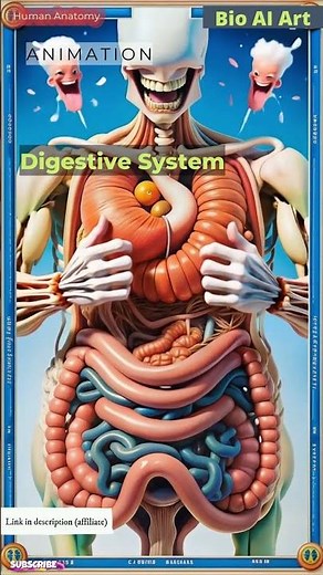 Digestive System Animation | Human Anatomy | Bio AI Art | 27
