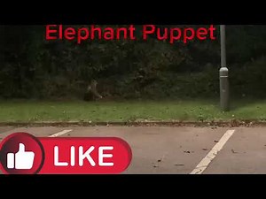 Elephant puppet’s red fox update🦊